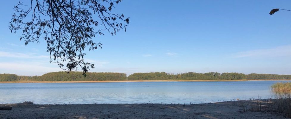 seddiner_see_20181020_05