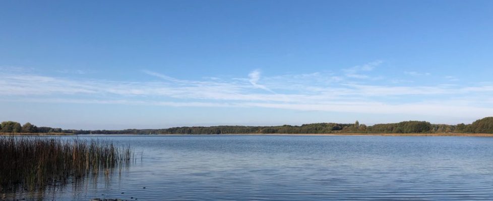 seddiner_see_20181020_06