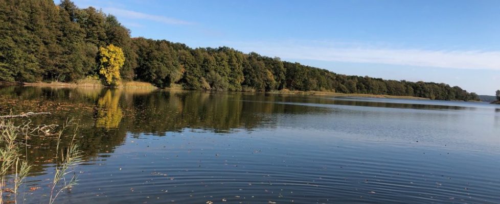 seddiner_see_20181020_08