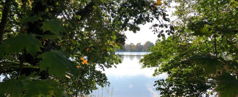 seddiner_see_20181020_09