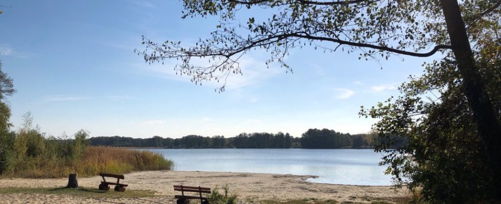 seddiner_see_20181020_10