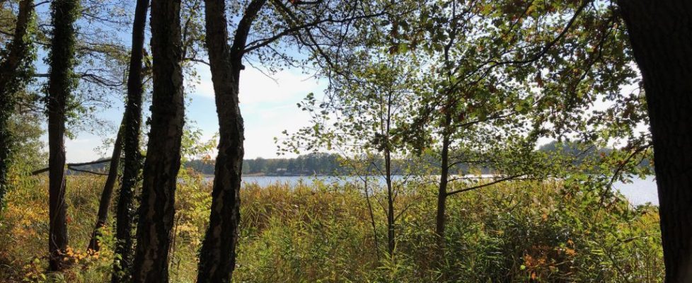 seddiner_see_20181020_11