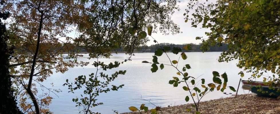 seddiner_see_20181020_13