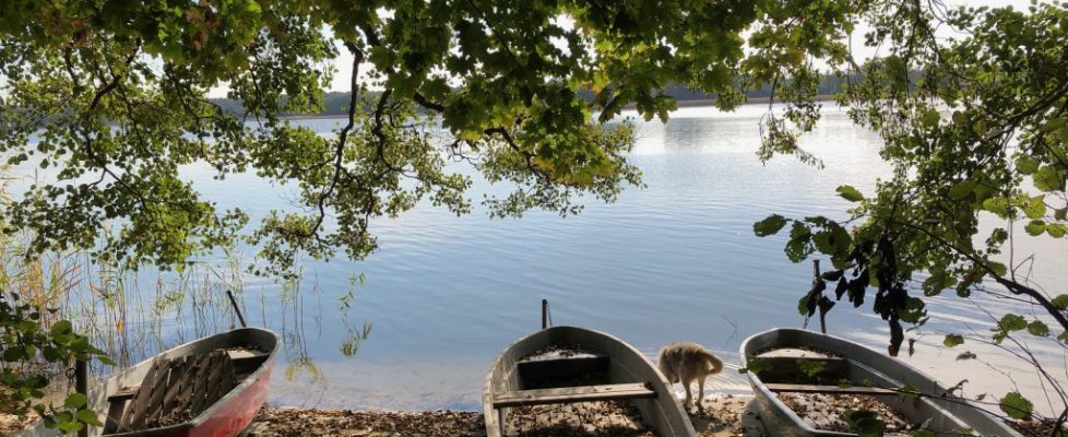 seddiner_see_20181020_15