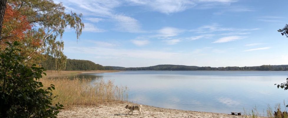 seddiner_see_20181020_16