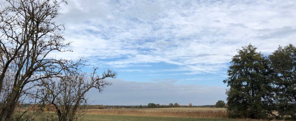 seddiner_see_20181020_18