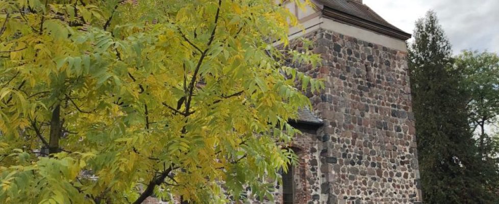 seddiner_see_20181020_20