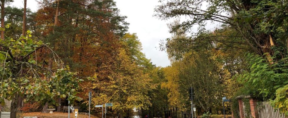 stechlinsee_20181028_01