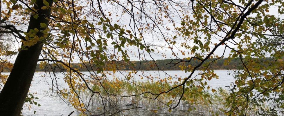 stechlinsee_20181028_02