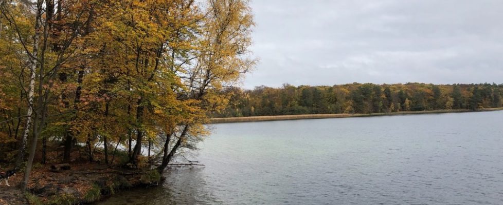 stechlinsee_20181028_03