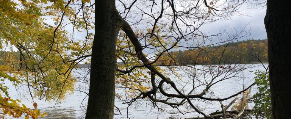 stechlinsee_20181028_06