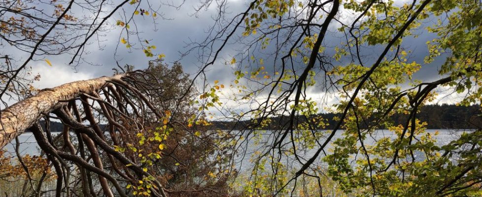 stechlinsee_20181028_08