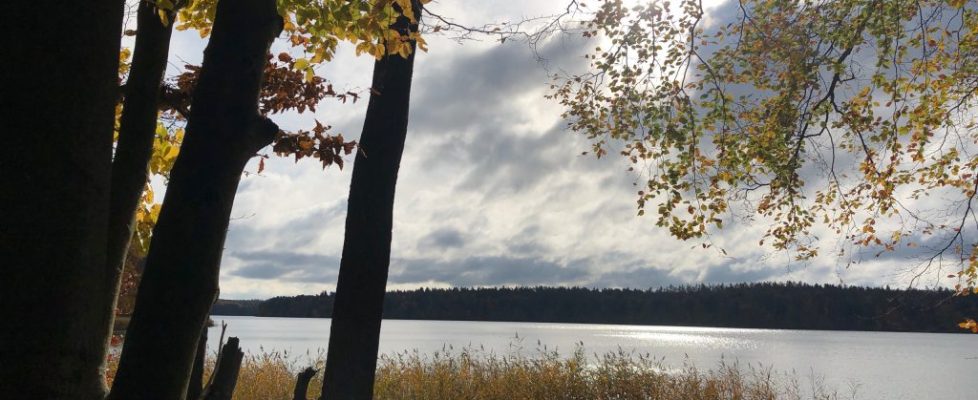 stechlinsee_20181028_09