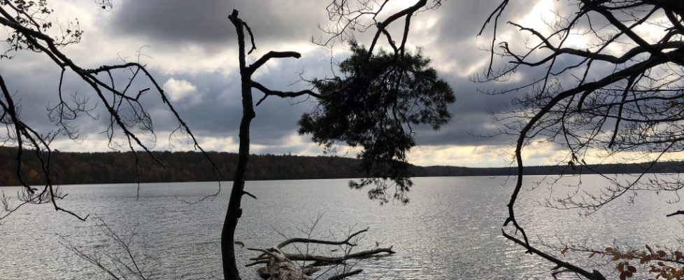 stechlinsee_20181028_10