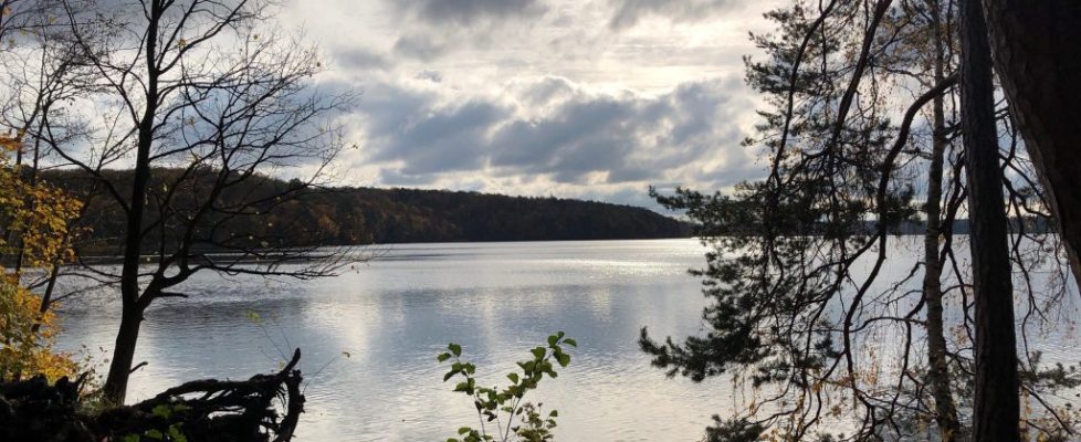 stechlinsee_20181028_11