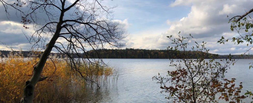 stechlinsee_20181028_13