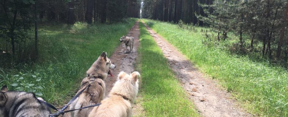 verlorenwasser_20170605_01